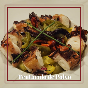 Prato tentáculo de polvo